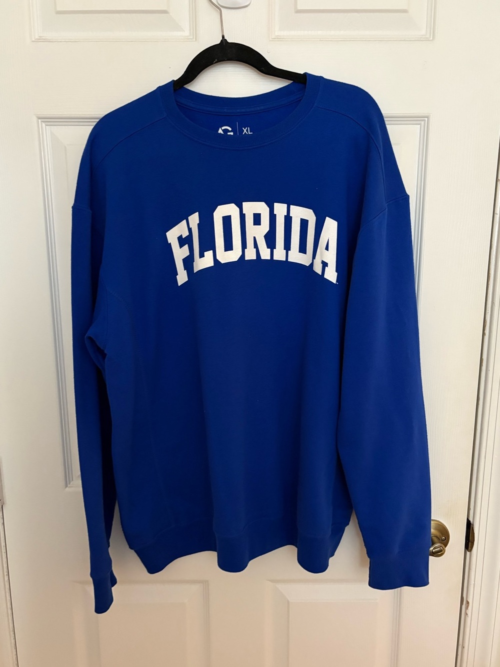 FLORIDA Arch Logo Crewneck Sweater - Royal Blue